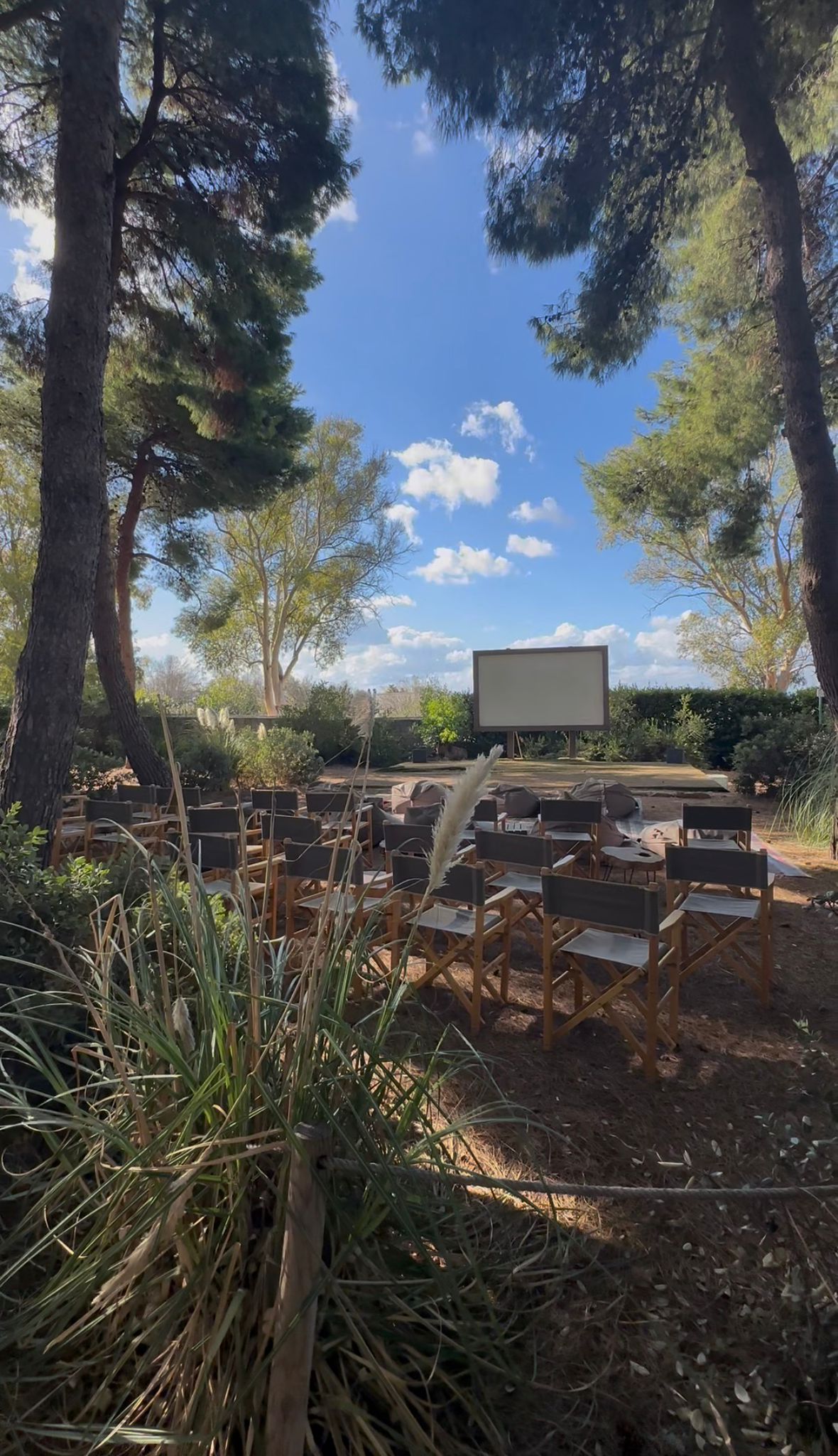 Cinéma plein air en retraite